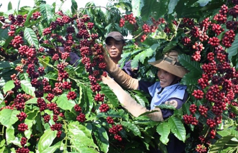Nhiều quy định mới của EU ảnh hưởng tới hàng xuất khẩu của Việt Nam